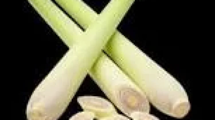 Kandungan Nutrisi dan Manfaat Serai (Lemongrass)