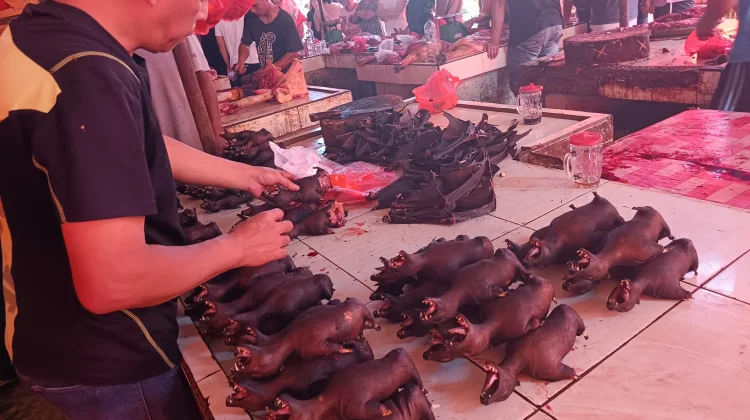Jelang Paskah, Daging Extrim Banyak Diburu di Pasar Tomohon