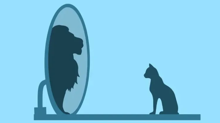 Cara Mengenali Seseorang dengan Narcissistic Personality Disorder (NPD)