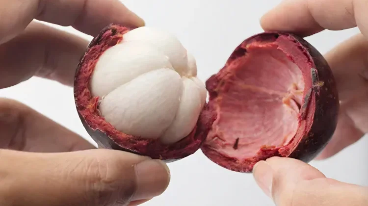 Manfaat Buah Manggis Bagi Kesehatan Tubuh
