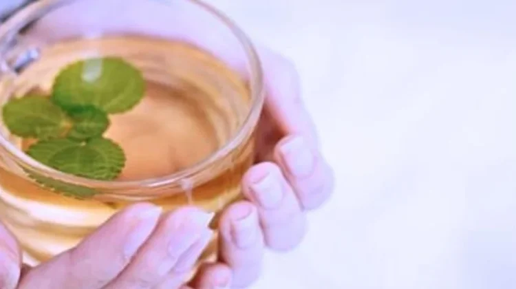 Tips Agar Diet Menu Rebusan Optimal