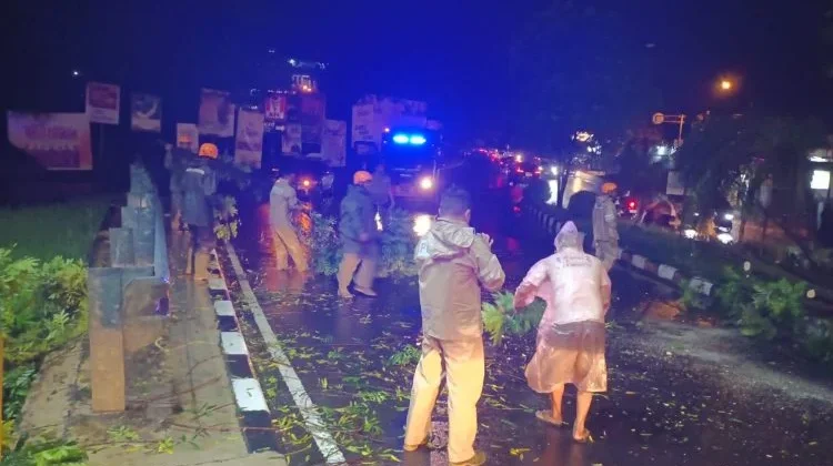 Gerak Cepat Polsek Mapanget Tangani Pohon Tumbang di Kairagi Satu
