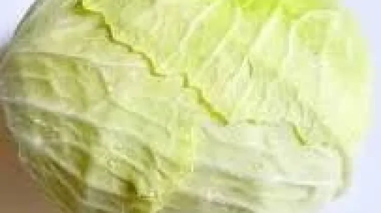 Manfaat Sayur Kol Bagi Kesehatan Tubuh