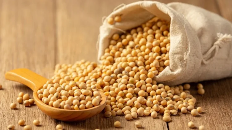 Pemerintah Pastikan Stok Kedelai Aman
