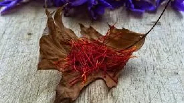 Rempah Eksotis, Saffron Bumbu Matahari Kaya Antioksidan
