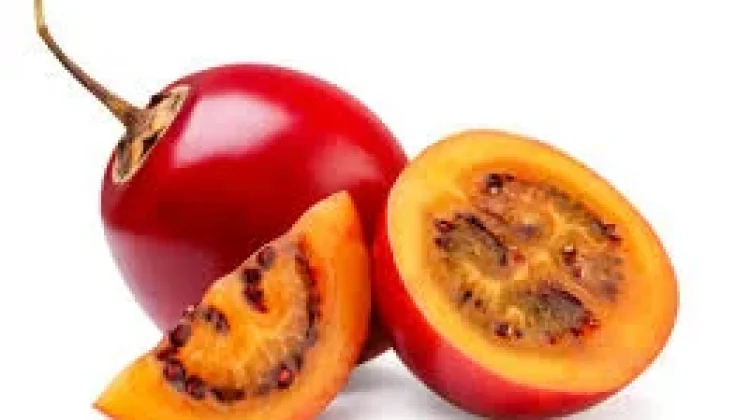 Rahasia Sehat Alami Jus Terong Belanda Kaya Nutrisi