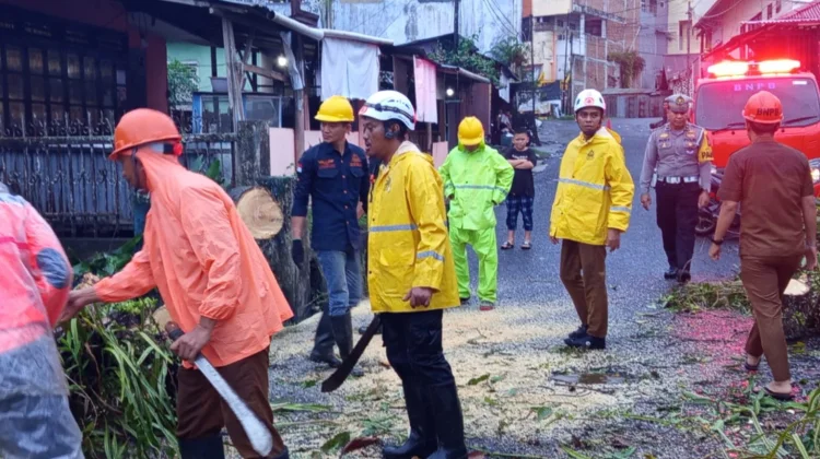 Pohon Tumbang di Mogolaing, Polsek Kotamobagu Bersama Warga Bersihkan Jalur Lalin
