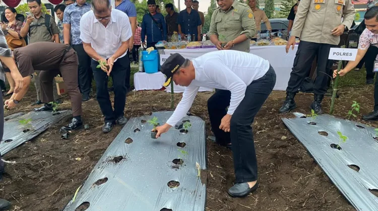 Pencanangan Gerakan Aparatur Sipil Negara (ASN) Menanam Cabai di Minsel