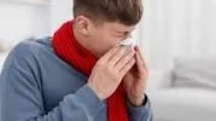Cara Alami Mengatasi Hidung Meler saat Flu