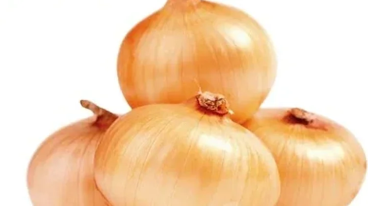 Makanan Antihistamin Alami dan Manfaatnya untuk Meredakan Alergi