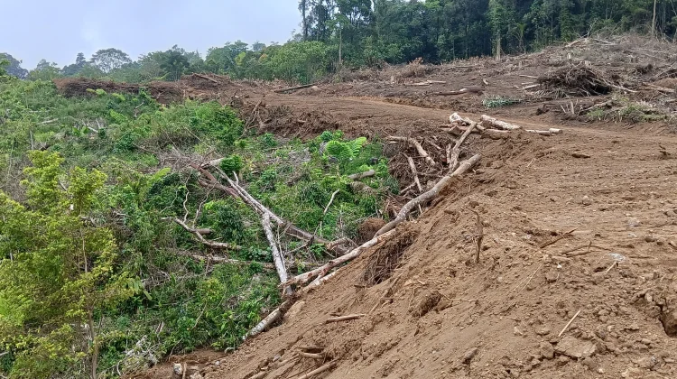 Kadis PMPTSP Minahasa : Pembangunan Tempat Wisata di Agotey Belum Memiliki Ijin