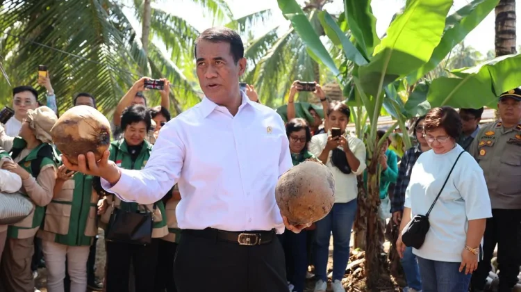 Mentan Amran Sidak Kebun Pembibitan di Manado, Minta Aparat Awasi Ketat