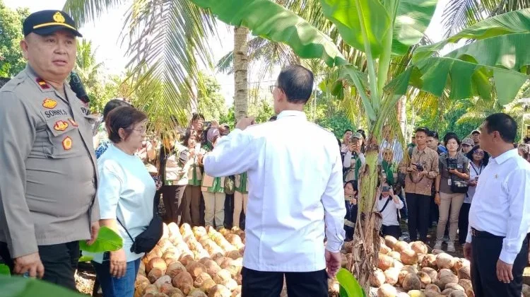 Polsek Mapanget Kawal Kunjungan Mentan ke Lokasi Pembibitan Kelapa