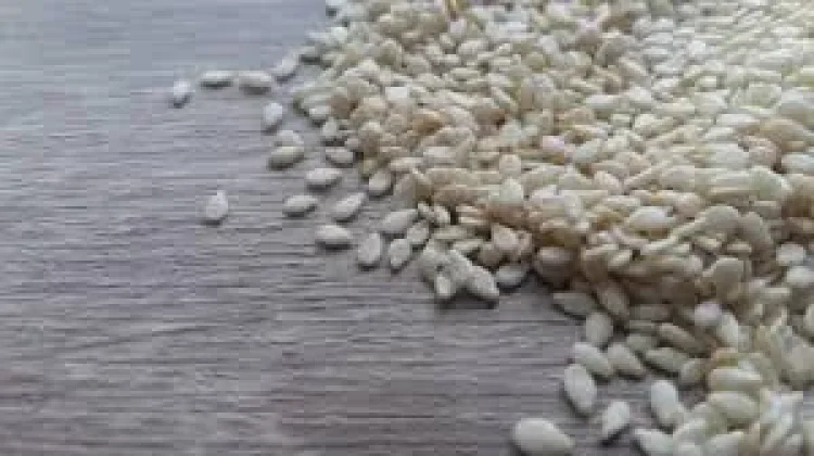 Wijen, Superfood Kaya Nutrisi sejak Zaman Kuno