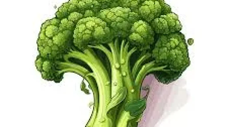 Brokoli, Superfood Kaya Serat dan Antioksidan Nutrisi Lengkap Tubuh