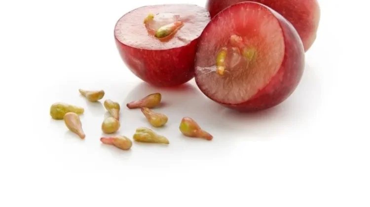 Manfaat Biji Buah Anggur Untuk Kesehatan