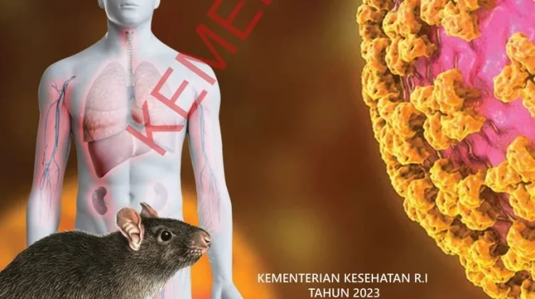 Kemenkes Ingatkan Bahaya Virus Hanta serta Cara Pencegahannya