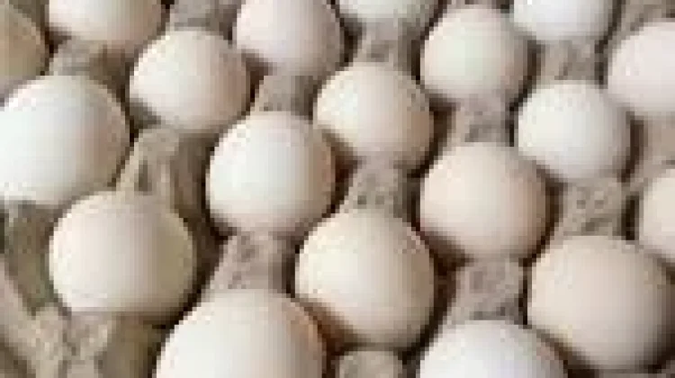 Telur Rendah Kolesterol : Sarapan Lezat tanpa Khawatir