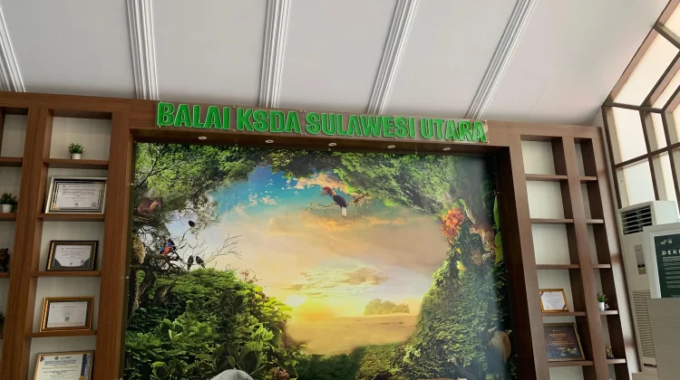 Viral Penemuan King Cobra di Langowan, BKSDA Sulut Beri Penjelasan Ilmiah