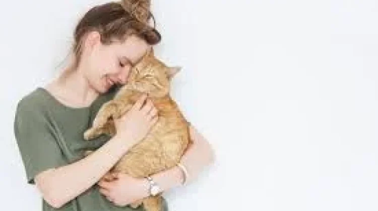 Jangan Asal Menggendong Kucing Ini, Triknya