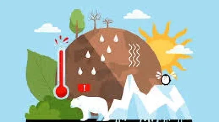 Perubahan Iklim dan Struktur Otak Manusia