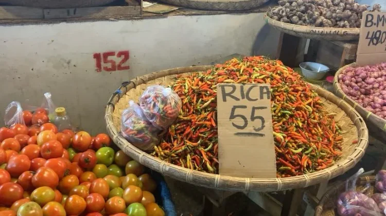 Harga Rica dan Minyak Curah di Pasar Bersehati Manado Naik