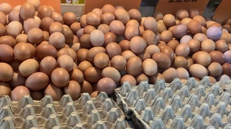 Harga Telur di Pasar Bersehati Manado Seminggu jelang Idul Adha