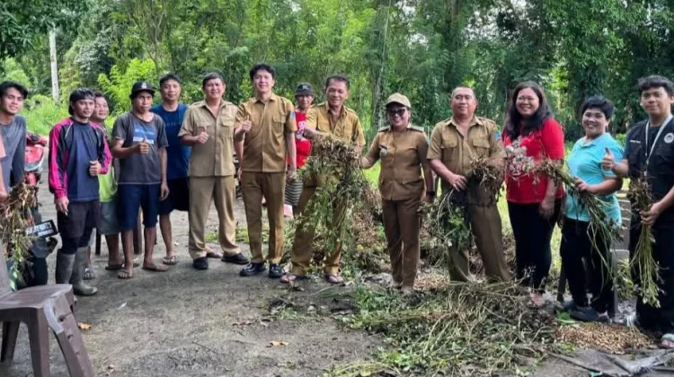 Program Ketahanan Pangan, Desa Kaasar Panen Kacang Tanah