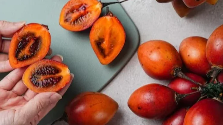 Terong Belanda Kaya Nutrisi dan Baik Dikonsumsi