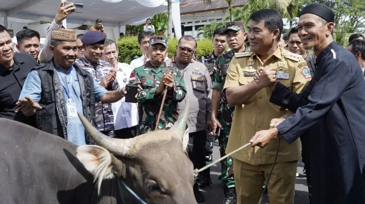 Pangdam Merdeka  Dampingi Gubernur Sulut Serahkan  Hewan Kurban