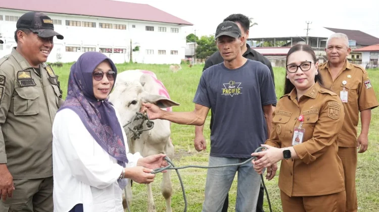 Wabup Vanda Serahkan Hewan Kurban Pemkab Minahasa, Kepedulian Jelang Iduladha