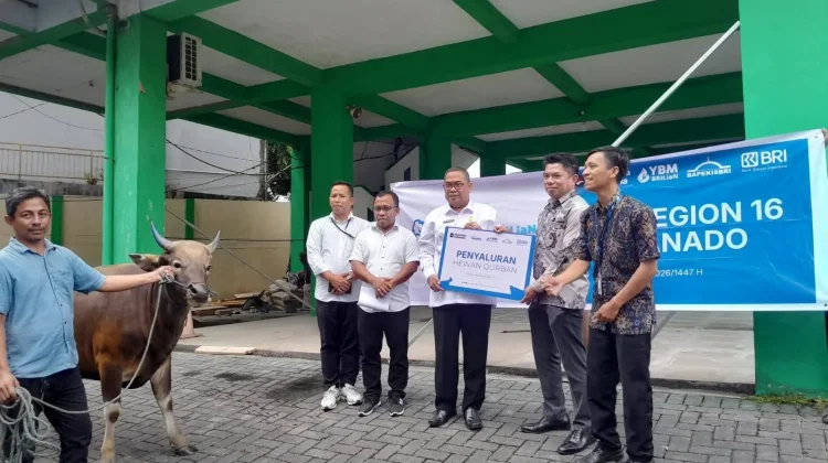 Kanwil Kemenag Sulut Terima Bantuan Sapi Kurban dari BRI Manado
