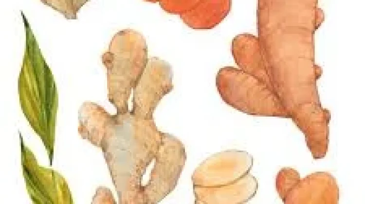 Ramuan Herbal Nusantara Diyakini Bantu Tingkatkan Imunitas