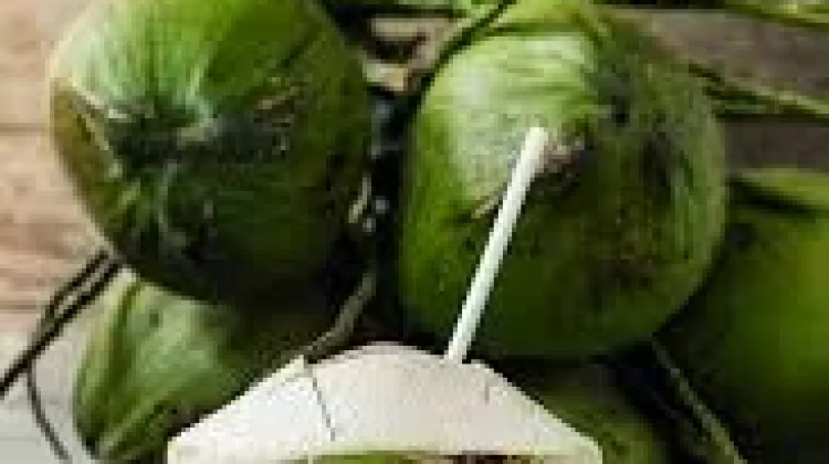 Air Kelapa Muda Minuman Higienis Nutrisi Tinggi dari Alam