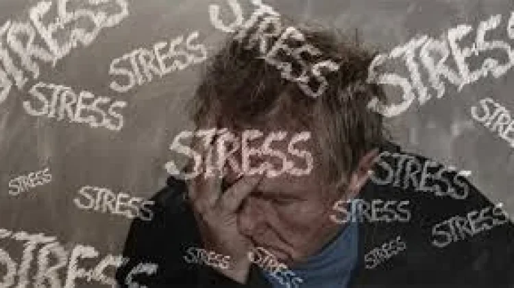 Mindful Eating Solusi Atasi Stress Eating di Lingkungan Kerja