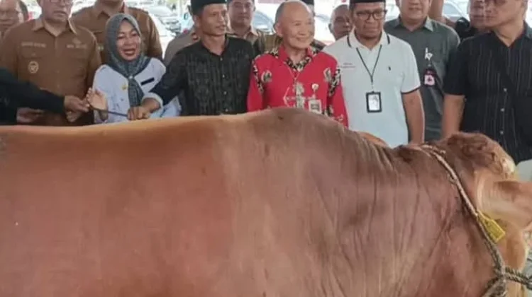 Wawali Richard Sualang Pantau Penyembelihan Sapi Bantuan Presiden RI