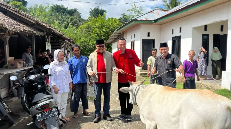 Semangat Berbagi Iduladha, DPC PDIP Bolmong Sumbang Sapi Kurban