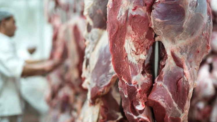 Anak Makan Daging Kurban Tiap Hari? Ini Porsi Ideal Kata Dokter