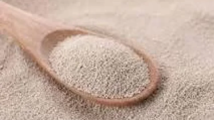 Perubahan Besar Berawal dari yang Kecil: Filosofi Ragi
