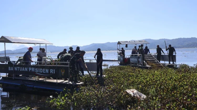 Dandim 1302/Minahasa Pimpin Pembersihan Eceng Gondok di Danau Tondano