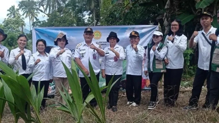 BRMP Sulut Dukung Hilirisasi Kelapa lewat Tanam Serentak