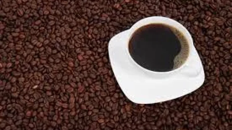 Gaya Hidup Sehat, Peran Kopi dalam Menjaga Fungsi Tubuh