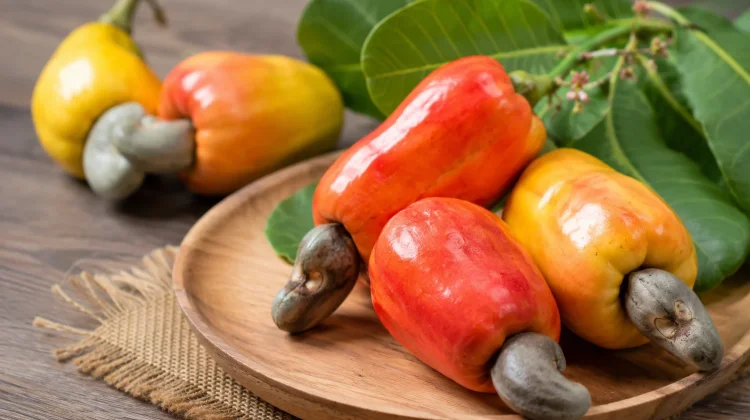 Manfaat Kesehatan Jambu Monyet yang Jarang Diketahui