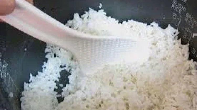 Nasi Bisa Menjadi Racun jika Disimpan Sembarangan