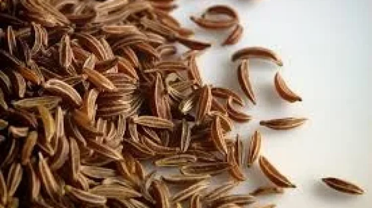 Jinten, Bumbu Dapur Kaya Nutrisi Antioksidan dan Zat Besi