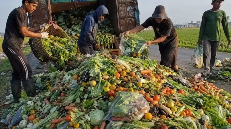 Hasil Melimpah Sayang Dibuang Jadi Peluang Berharga
