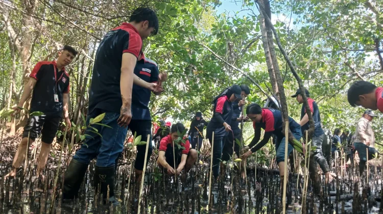 Bank Sampah Induk Likupang Apresiasi Komitmen Pelestarian Mangrove Alfamidi