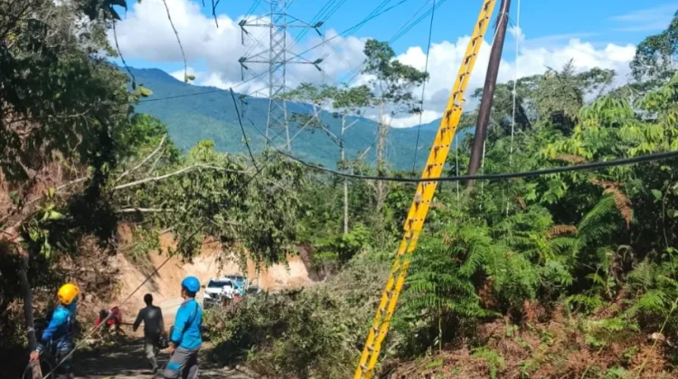 UP3 Palu PLN UID Suluttenggo Pastikan Sistem Kelistrikan Tetap Andal Pasca Gempa