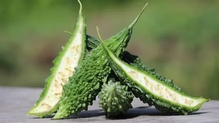 Pare, Sayuran Herbal Kaya Vitamin tapi Perlu Konsumsi Bijak