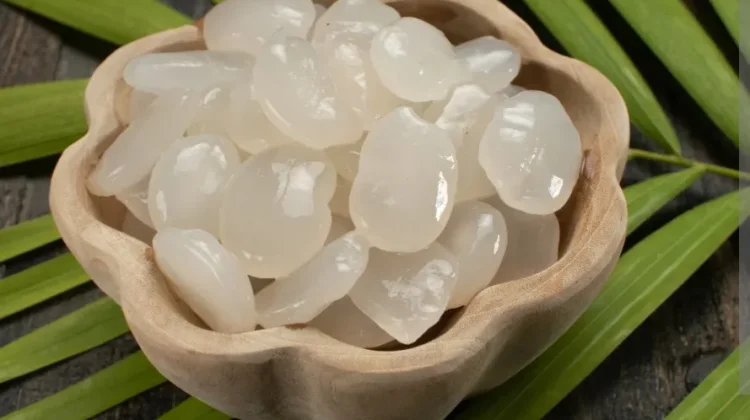 Manfaat Buah Kolang Kaling Untuk Kesehatan Tubuh
